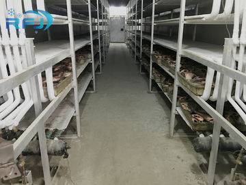 Αγορά Βιομηχανικό κρύο δωμάτιο μόνωσης θερμότητας Temp -60~-0 βαθμών για την αποθήκευση κρέατος/ψαριών online manufacture